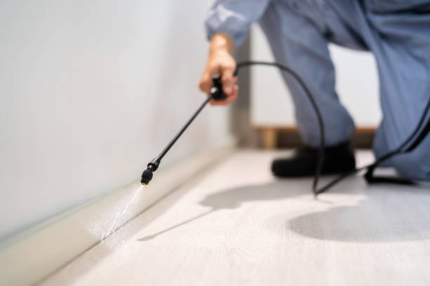 Licensed Termite Control service in Walthall County County, MS - Nex Pest Control