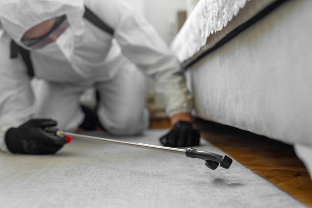 Professional Termite Control technician working in Walthall County County, MS